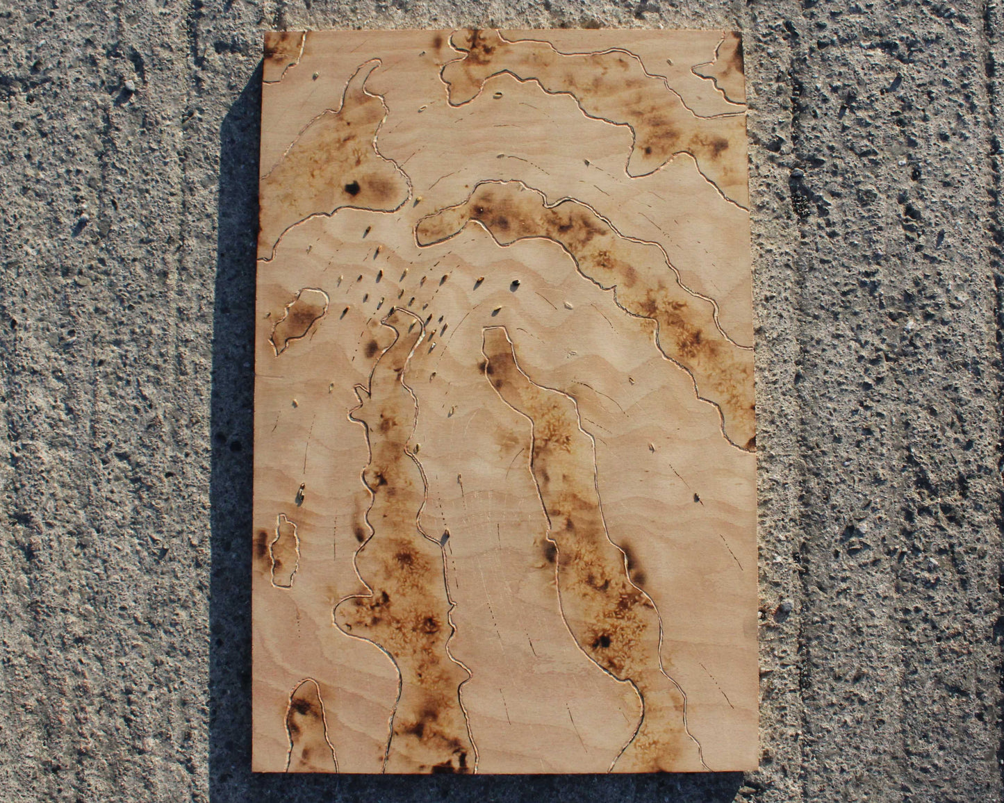 Singed Traces 2
