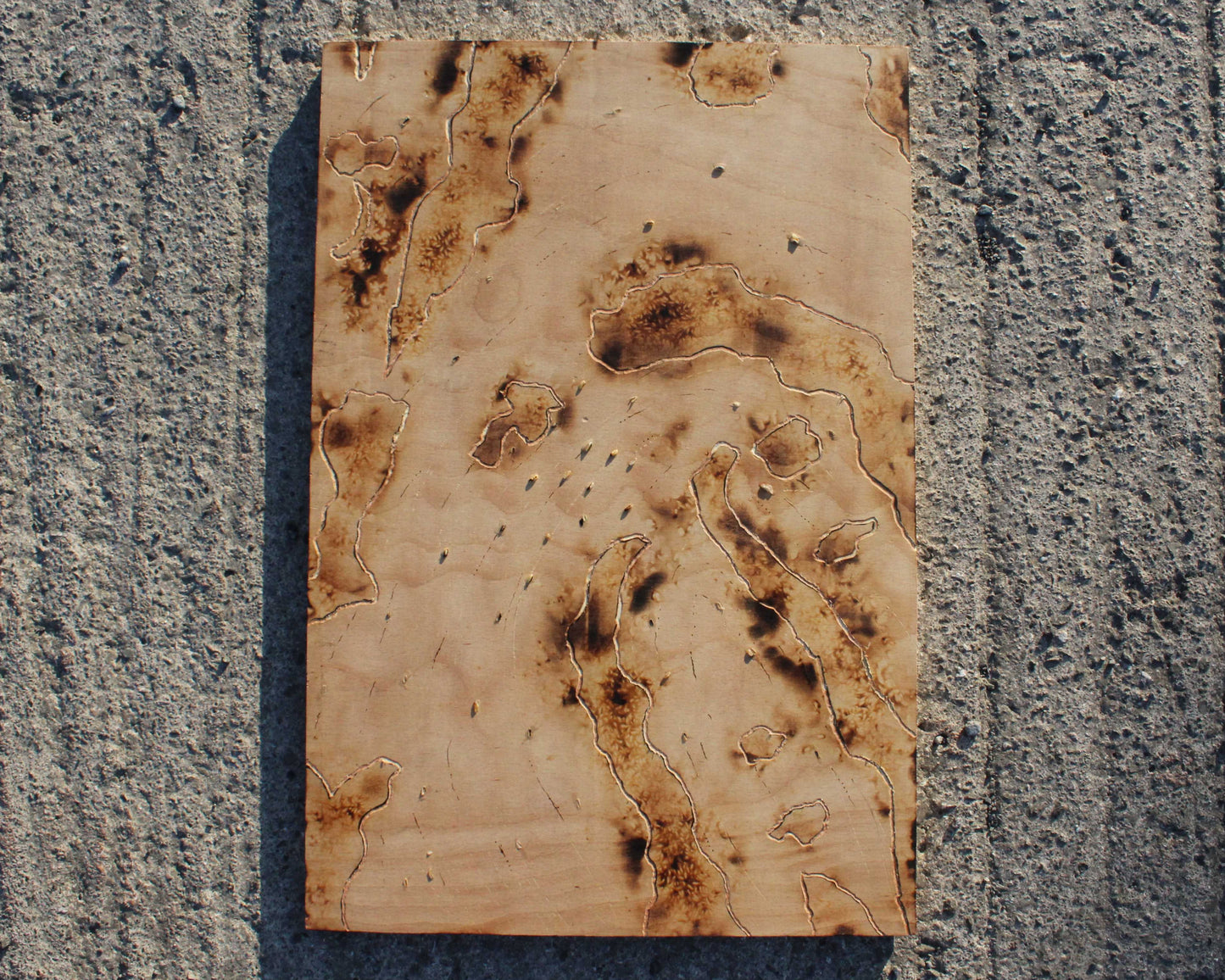 Singed Traces 1