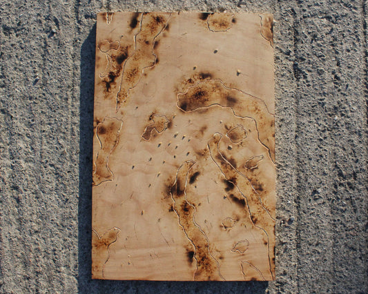 Singed Traces 1